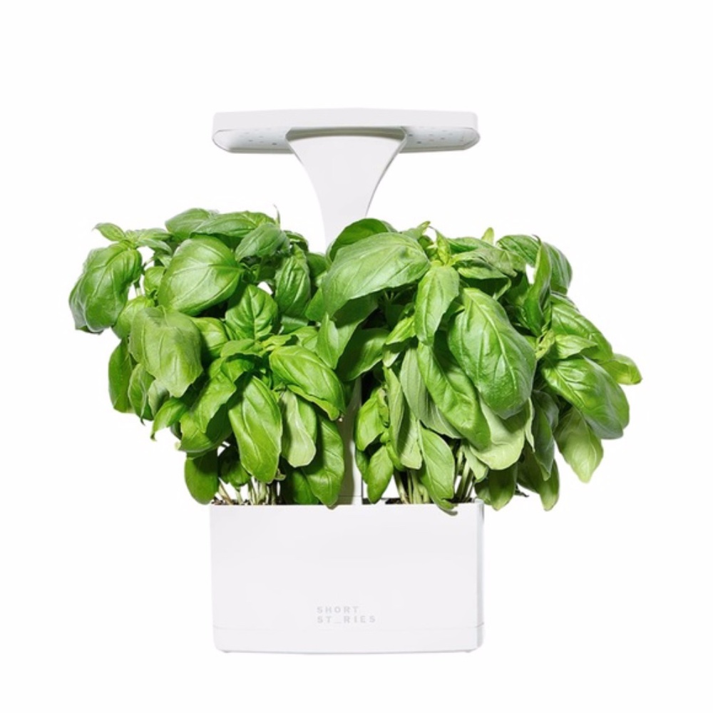 NEW Short Stories LED Indoor Planter NIB